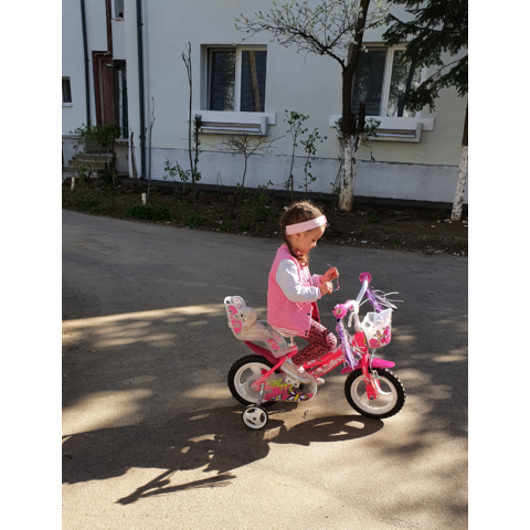 DINO BIKES Bicicleta pentru copii fluturasi 12''