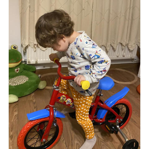 DINO BIKES Bicicleta copii 12'' - Patrula Catelusilor