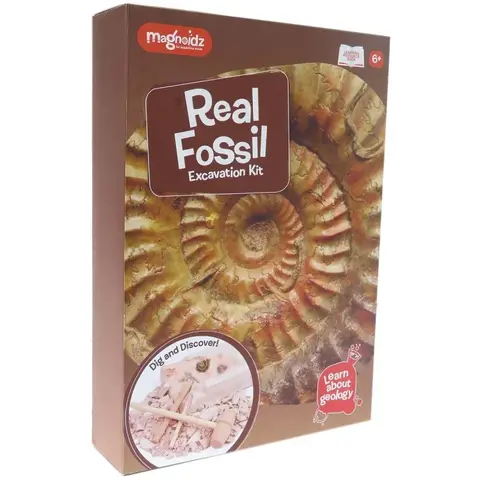 Keycraft Kit paleontologie - Descopera fosile