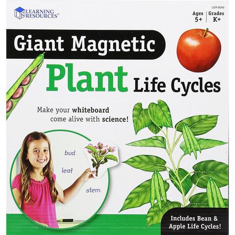 Learning Resources Ciclul vietii plantei - set magnetic