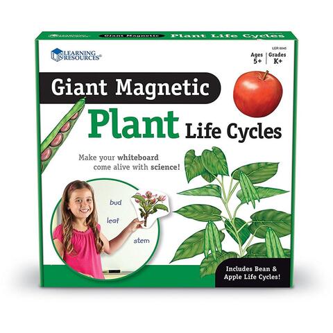 Learning Resources Ciclul vietii plantei - set magnetic