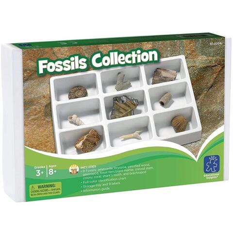 Educational Insights Kit paleontologie - Fosile