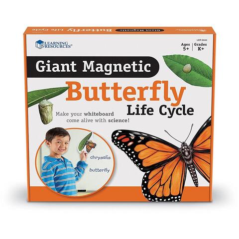 Learning Resources Ciclul vietii fluturelui - set magnetic