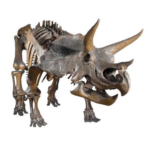 Natural History Museum Diapozitive - Dinozauri