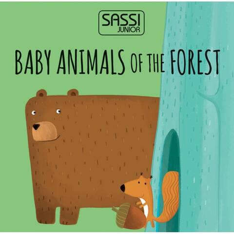 Sassi Eco-Blocks - Animalutele si puii lor