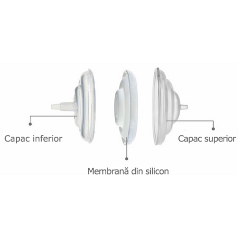 SPECTRA Accesorii pompa - Filtru protectie flux invers