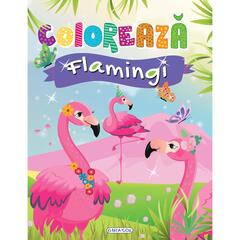 GIRASOL Coloreaza - Flamingi