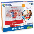 Learning Resources Macheta inima - Pomparea sangelui - RESIGILAT