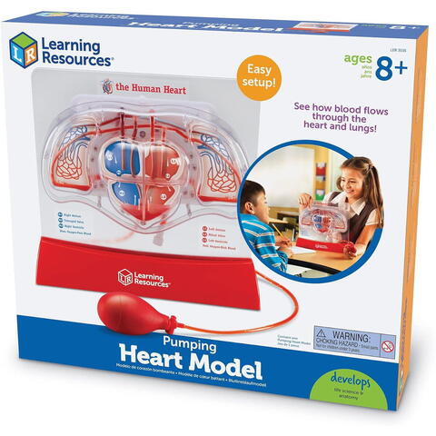 Learning Resources Macheta inima - Pomparea sangelui - RESIGILAT