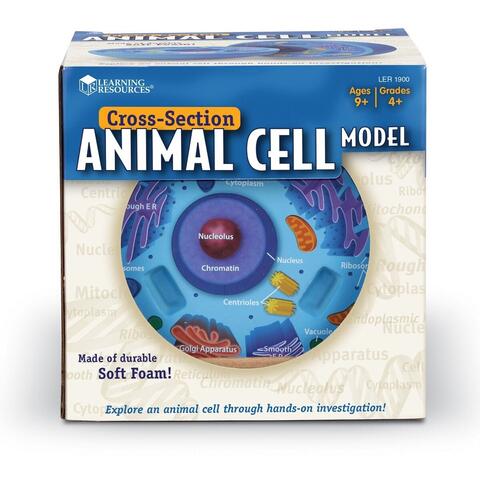 Learning Resources Sectiunea celulei animale